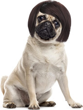 Cobee Funny Dog Cat Cosplay Wig, Pet Wig-Adjustable Costume Pet Funny Headwear C