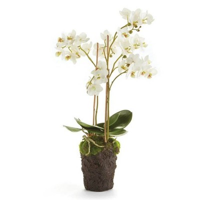 Phalaenopsis White Orchid Drop-In 20''