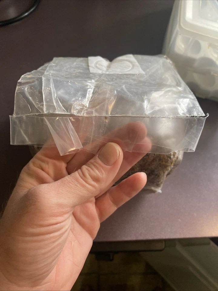 4lb All-in-One Mushroom Grow Bag Easy to Use - Image 3 of 3