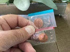 1976-P Lincoln Memorial Cent — photo from another recent sale