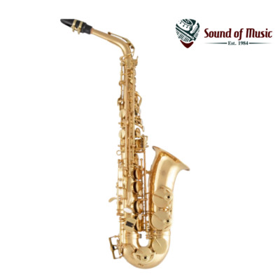 Selmer Eb Alto Saxophone Outfit SAS511 - Lacquer Finish
