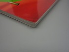 Bild 10 von 12
