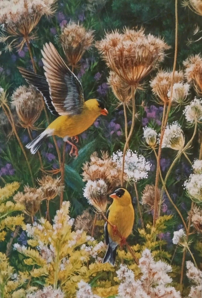 Wentworth American Goldfinches Beth Hoselton 500 Piece Jigsaw Puzzle Birds Rare - Image 3 of 4