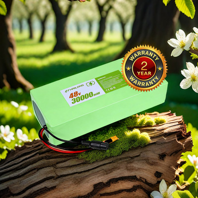 Green 48V 30AH li-ion Battery