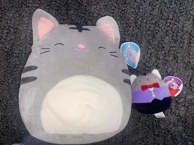 gray cat squishmallow