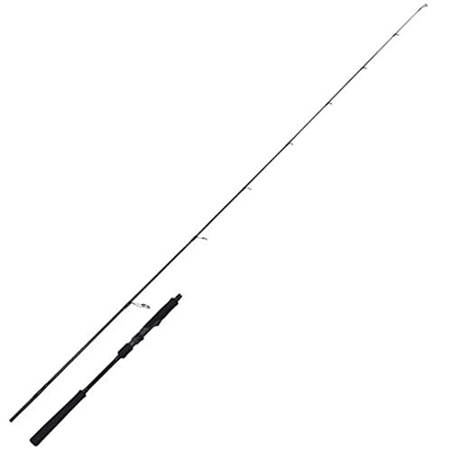 YAMAGA Blanks Spinning Rod SeaWalk Light Jigging 64ML | eBay