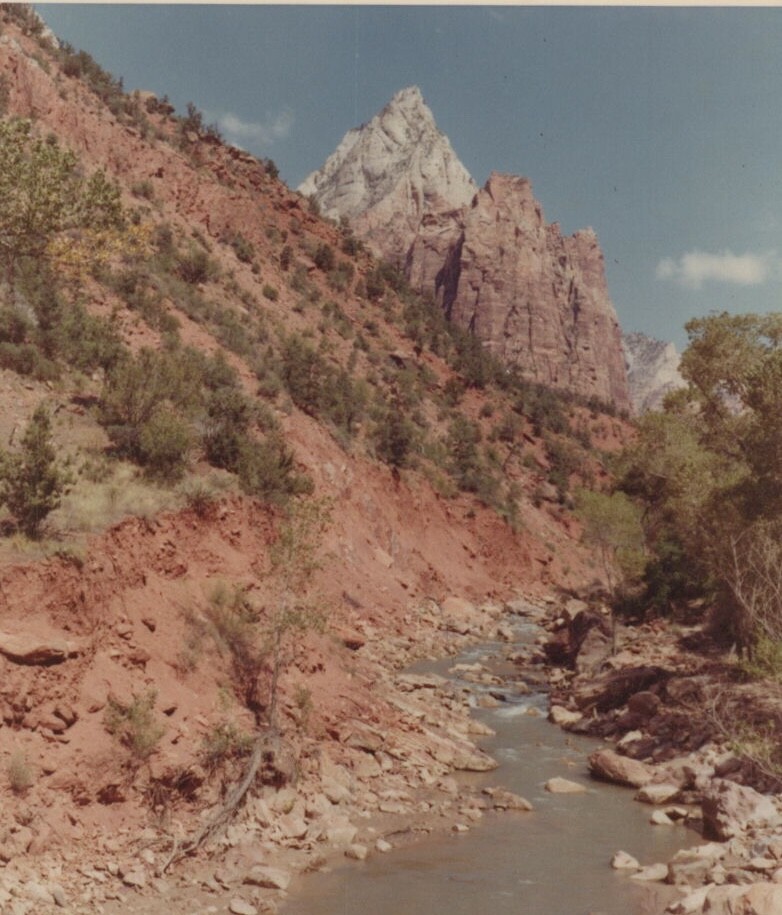 風景画 1970s Zion National Park Scenic River Canyon Mountain Landscape