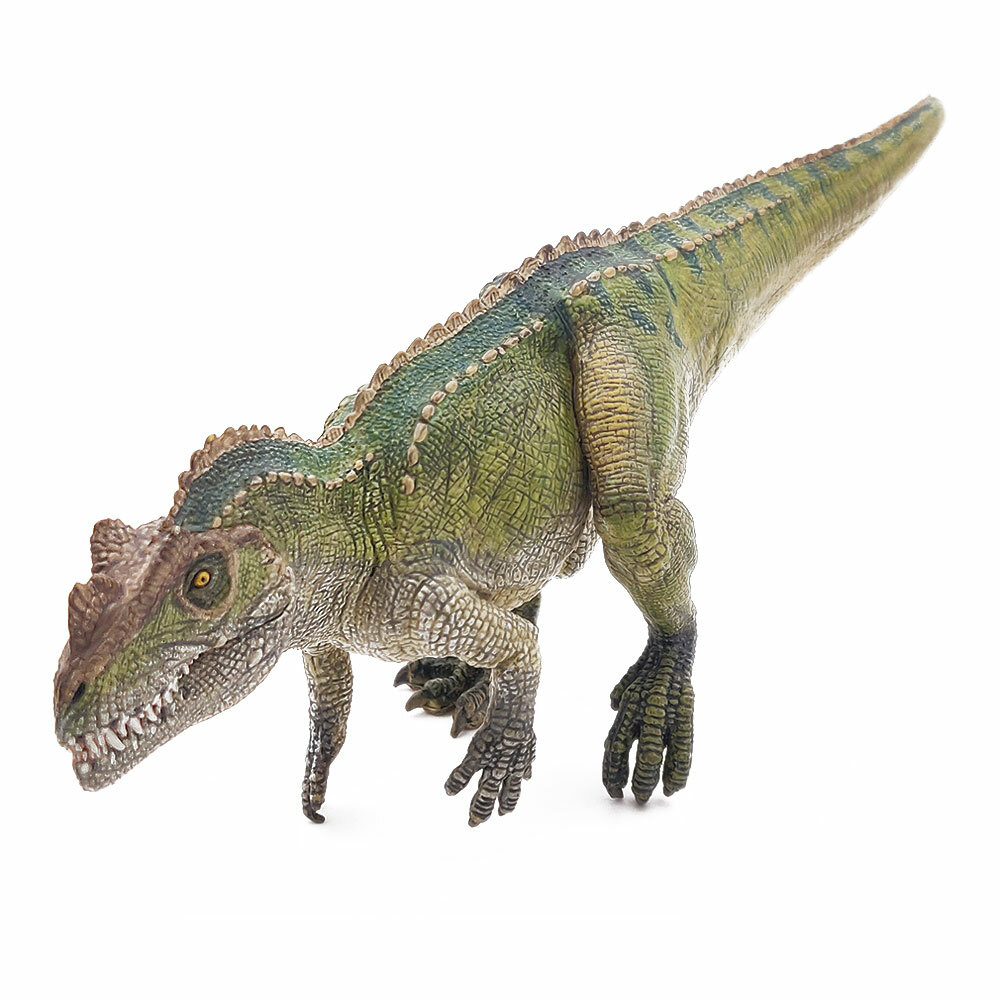 Papo(パポ)ケラトサウルス PVC PA55061 dwos6rj Amazon.com: Papo - Hand-Painted - Dinosaurs - Ceratosaurus