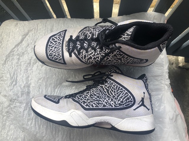 the new jordan 29 coming out