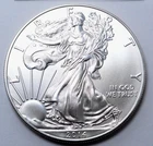 2014 American Silver Eagle $1.00 Dollar 1 Oz 999 Silver Coin. No Reserve $