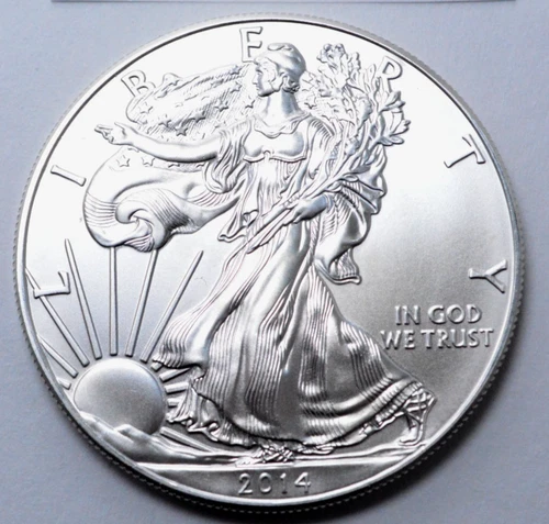 2014 American Silver Eagle $1.00 Dollar 1 Oz 999 Silver Coin. No Reserve $.