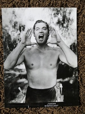 Tarzan wird gejagt   MGM EA Pressefoto '50 - Johnny Weissmüller
