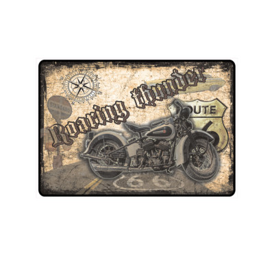 Schild Hinweisschild Hinweis ''Roaring Thunder'' Bike Biker Chopper Hellbike Fun