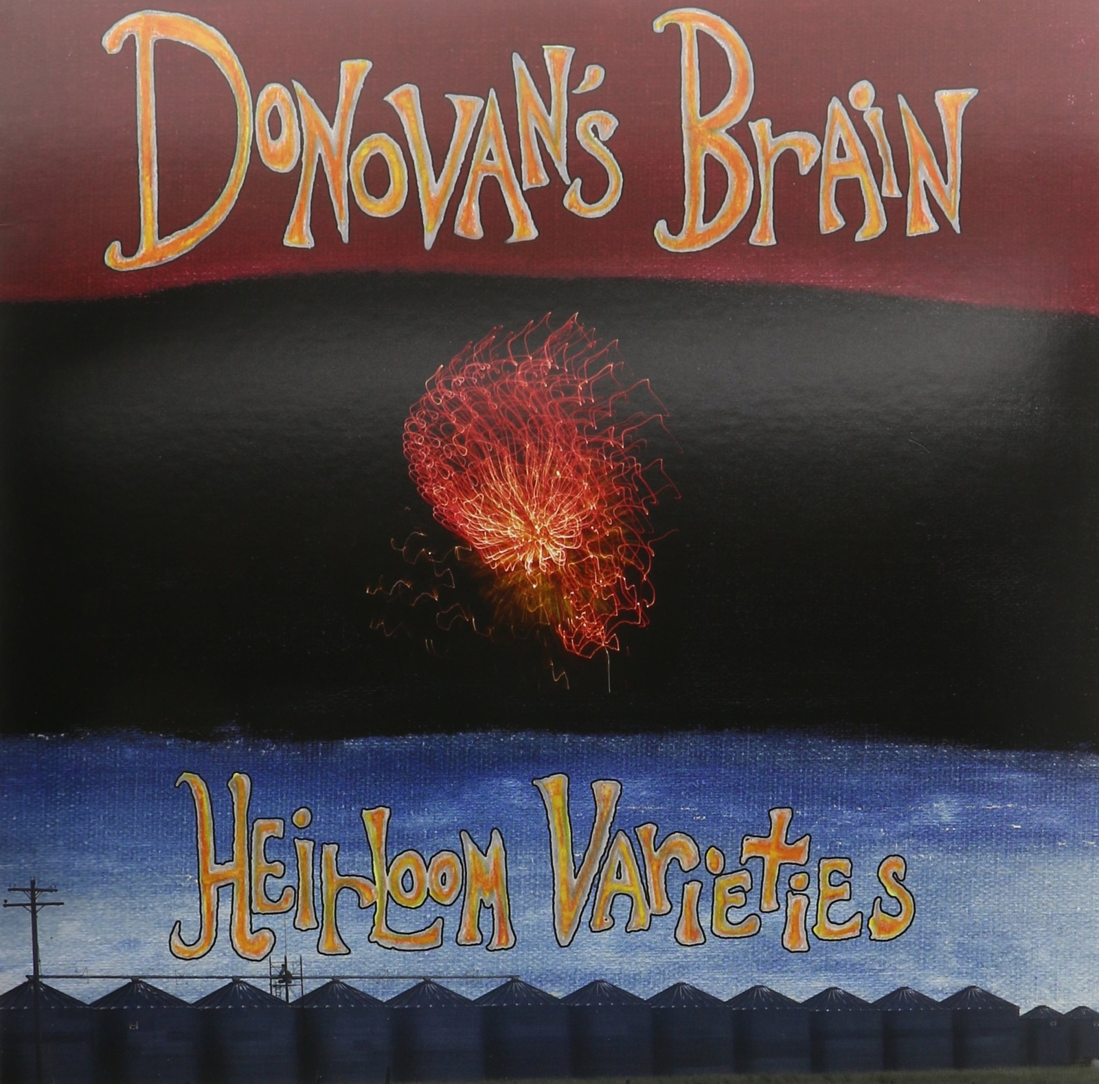Donovan's Brain Heirloom Varieties (Vinyl LP)