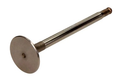 Einlassventil AMPPMER019-S-0-D AMP PARADOWSCY
