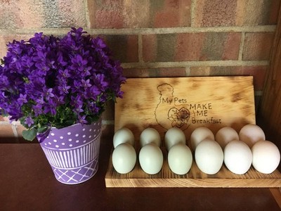 6  Easter Egges's  Minty  +  6 Silver Sptitzhauben's  White Hatching Eggs