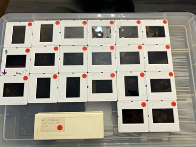 ABU SALABIKH Lot 20 Dias 35mm Ausgrabungsstätte selten assyrisch sumerisch irak