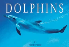 Dolphins Postcard Book by Browntrout Publishers