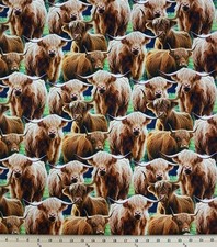 Cotton Highland Cows Farm Animals Creatures Packed Fabric Print by Yard D368.77