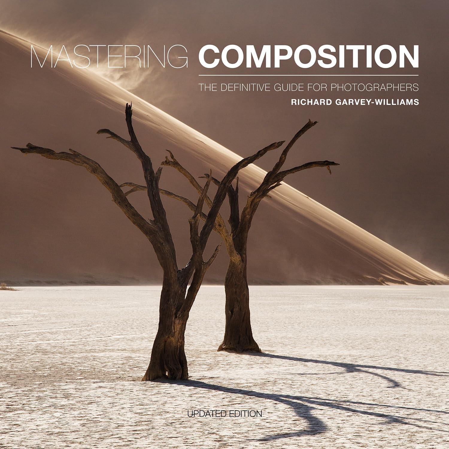 Mastering Composition : The Definitive Guide For Photographers Richard Garvey-Williams - Image 7