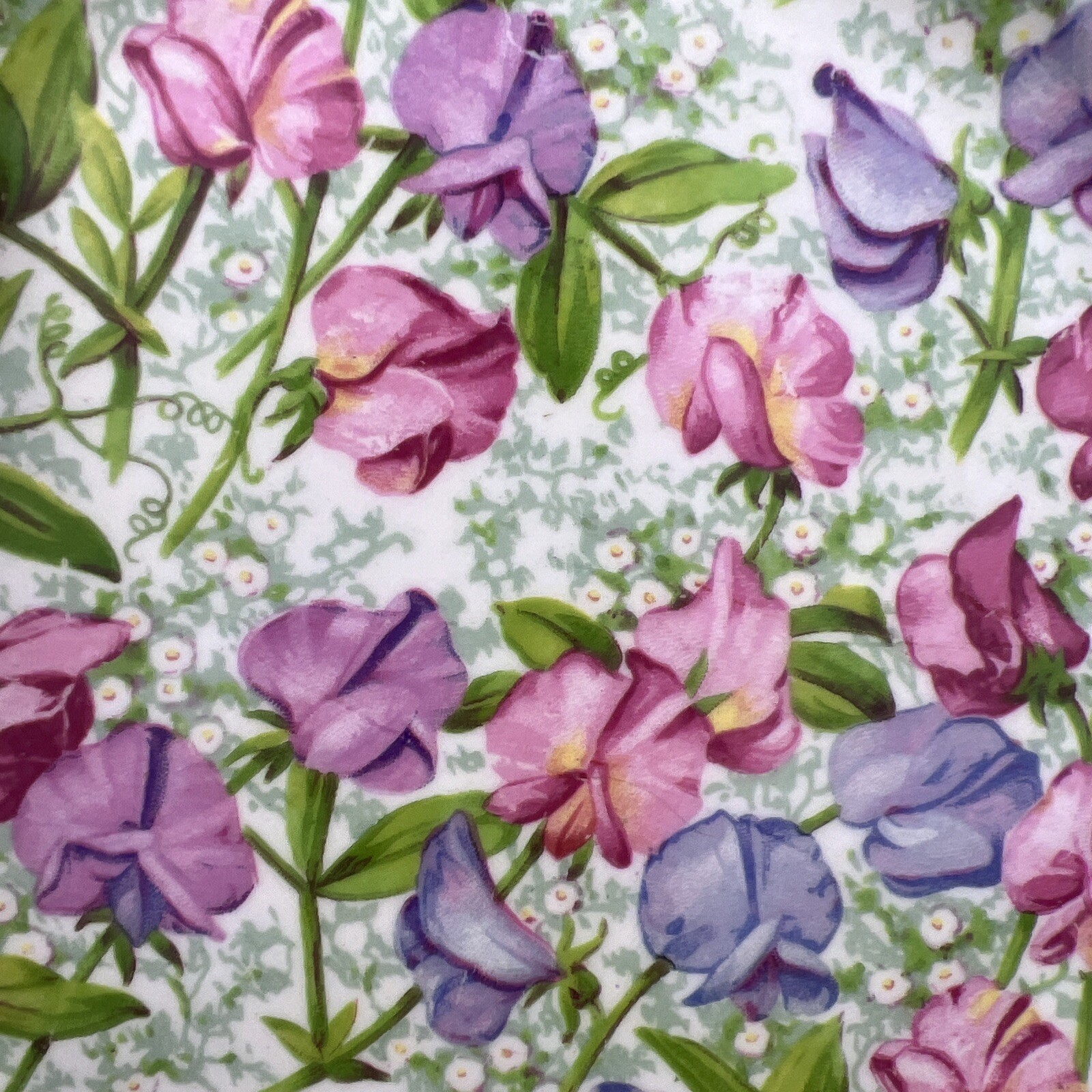 Royal Standard Fine Bone China Sweet Pea Pattern Teacup Saucer And Salad Plate