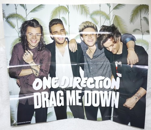 One Direction Drag Me Down 2015 Taiwan CD w/OBI +"Folded" poster  - Picture 4 of 4