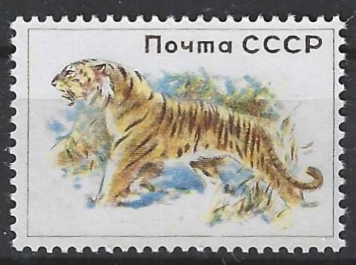 TIGER. GENUINE RUSSIAN ESSAY OF UNISSUED USSR STAMP