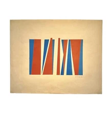 SANDU DARIE. Engraving. Serigraphy. Concrete art. Contemporary Art. Colors.