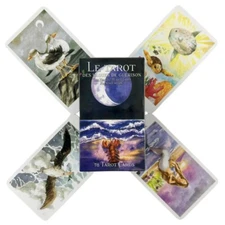 LE Tarot Cards A 78 Deck The Healing Waves Tarot Oracle French Version