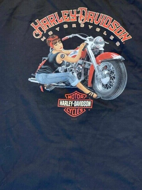 Harley Davidson Motorcycle Black Mens T Shirt from Visalia CA Size