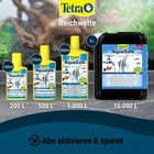 Bild 7 von 7
