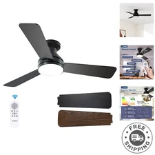Dimmable Low Profile Ceiling Fan with Remote - 42 Inch, Adjustable Light Color