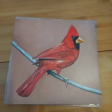 🔥Alexisonfire - Old crows/Young Cardinals Vinyl Record Black 2LP Sold Out
