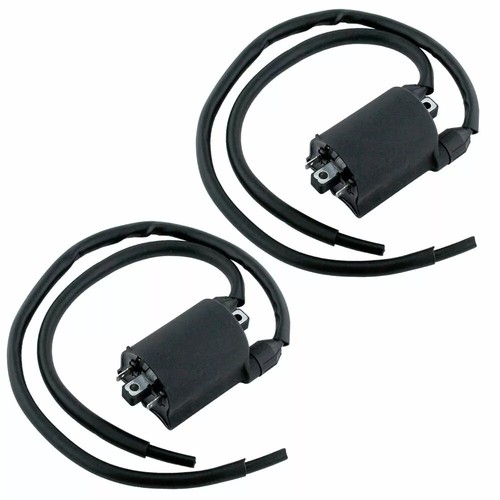 Set of 2 Ignition Coils for Kawasaki ZRX1200R ZRX1200 ZR1200A 2001-2005