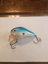 rapala dt fat 01 discontinued