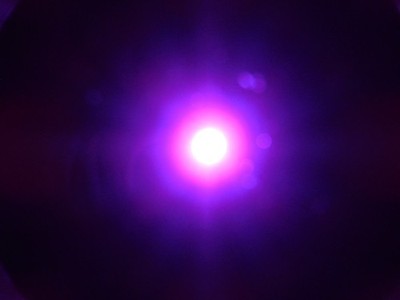 Bitelight Pink Super x4 Sehen Sie Ihren Spod/Spomb in der Nacht jedes Bitelight hält 100 Stunden