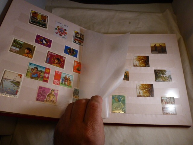 Picture 3 of 11