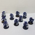 Warhammer  FW Ultramarines With Praetorian Breacher Shields 10 Models Painted #2