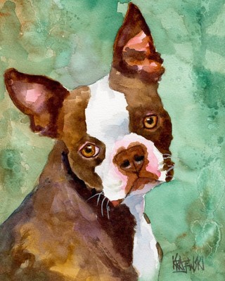 boston terrier products