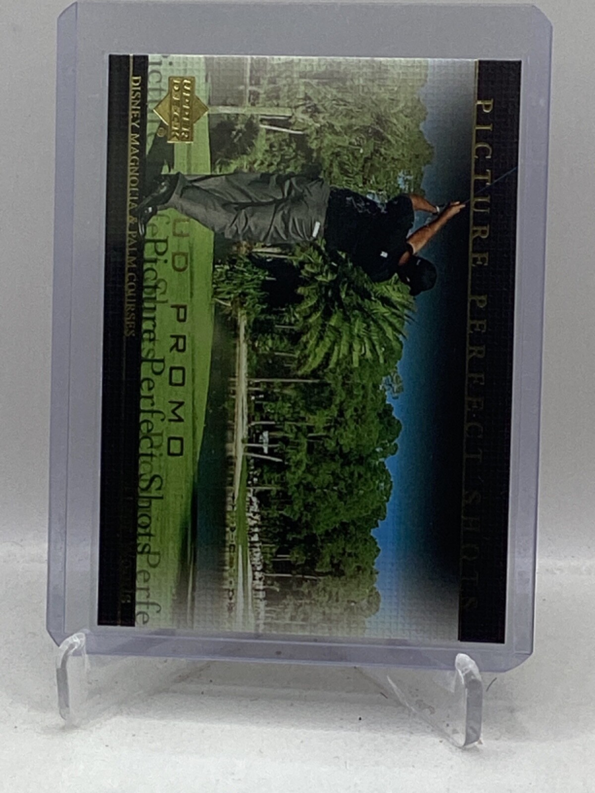 2004 Upper Deck Golf (UD Promo) #80 Tiger Woods