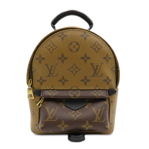 palm spring mini reverse