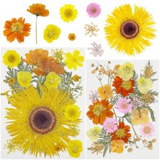 44 PCS Orange Real Pressed Flowers Leaves for Resin Crafts Scrapbook Supplies