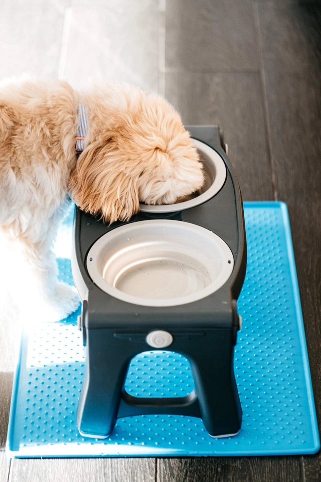 Alimentador doble para mascotas de altura ajustable, gris claro Foto 4 de 4