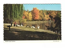 Hidden Lake Gardens Located between Adrian and Jackson MI VTG postcard UNP