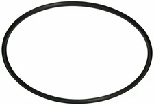 Pentair Hayward W530 W560 In-Line Leaf Trap Canister O-RING AXW542 R172223