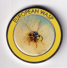 AUSTRALIAN: 2014 THINGS THAT STING EUROPEAN WASP MEDALLION  #5943