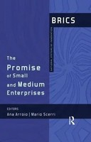 Ana Arroio (U. A.) | The Promise Of Small And Medium Enterprises | Taschenbuch