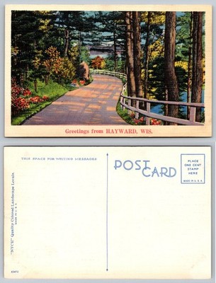 Hayward, WIS. Scenic Winding Road Forest Lake Vintage Linen Postcard NYCE