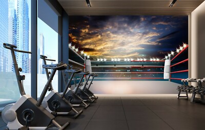3D Boxing Arena 14742NA Wallpaper Wall Murals Removable Wallpaper Fay