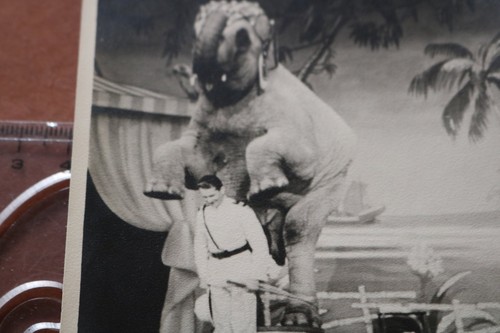 Gran foto antigua - ¿circo? Variedad?? Domador con elefante - Imagen 2 de 3